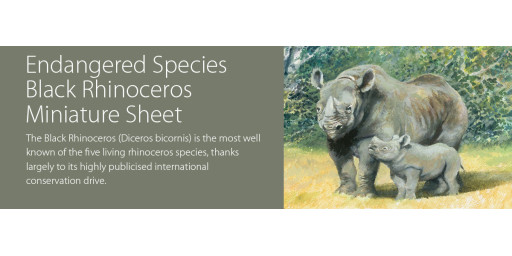 Endangered Species: The Black Rhinoceros
